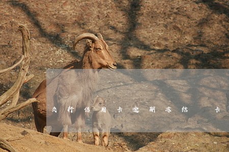 交行信用卡逾期冻结 卡农 交行信用卡逾期冻结 卡农